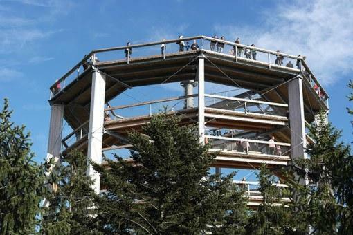 Violet Apartment Фримбурк Екстериор снимка